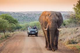 International Tour Packages